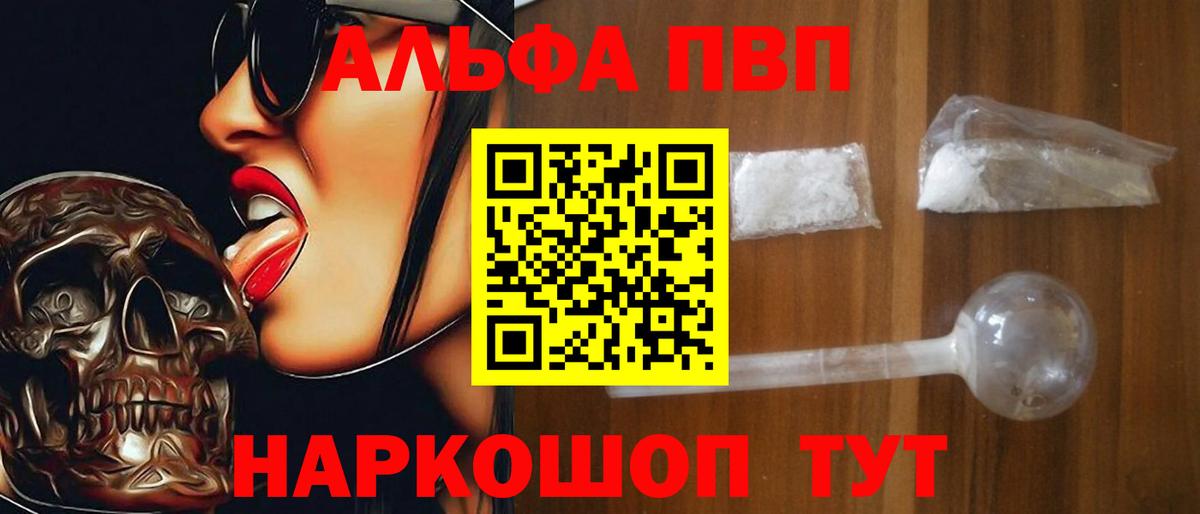 Альфа ПВП СК КРИС Малгобек