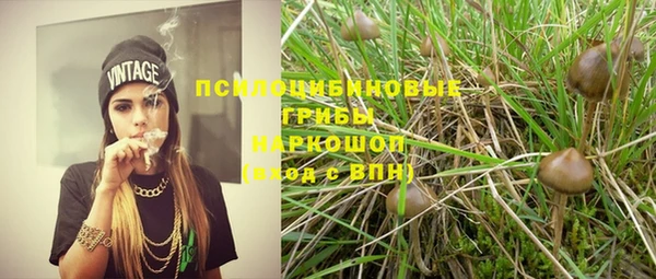 стаф Краснотурьинск