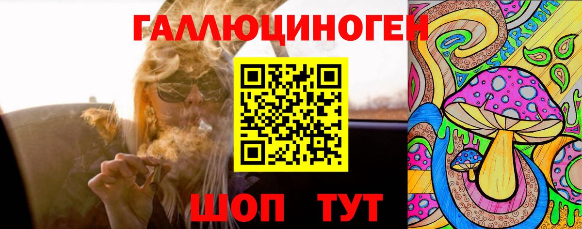 Псилоцибиновые грибы GOLDEN TEACHER  Малгобек 