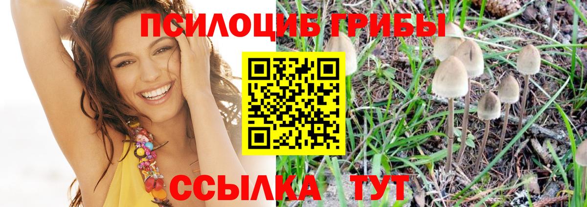 Магазины продажи наркотиков  МЕФ кристаллы  LSD-25  КОКАИН  Малгобек  ГАШ  Вход с VPN 